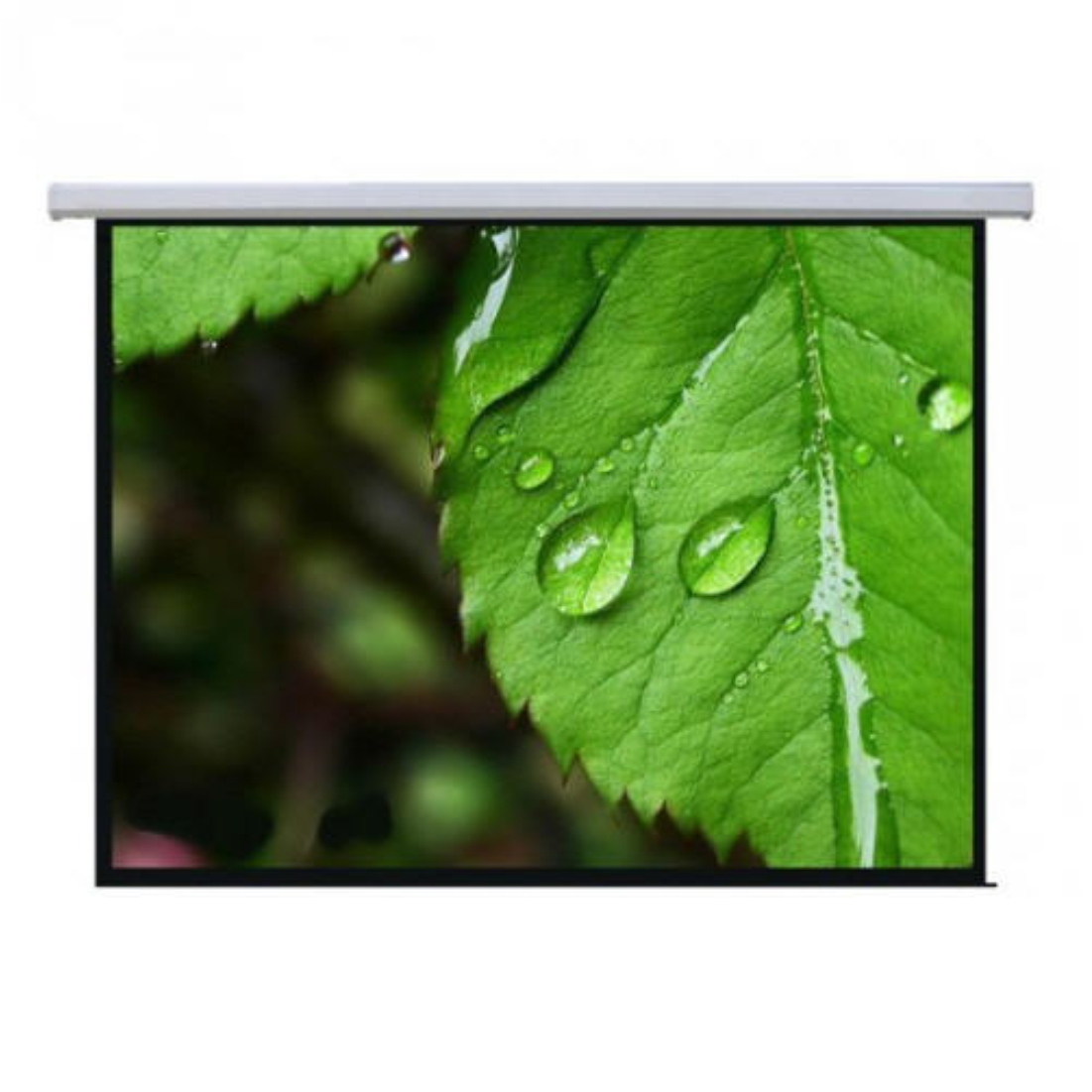 Экран настенный Mr.Pixel MSPSBB167V2