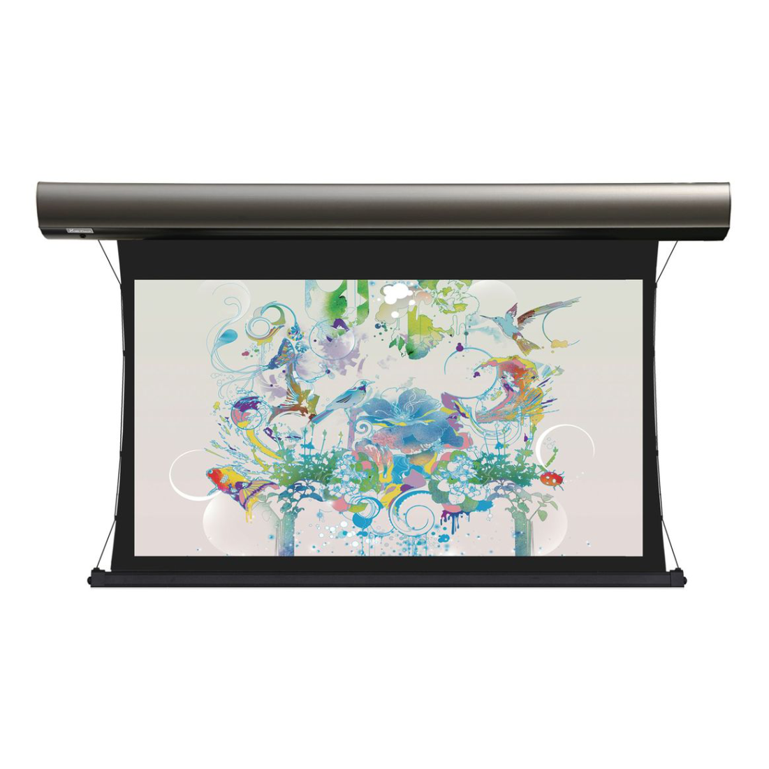 Экран моторизированный Lumien LCTC-100133