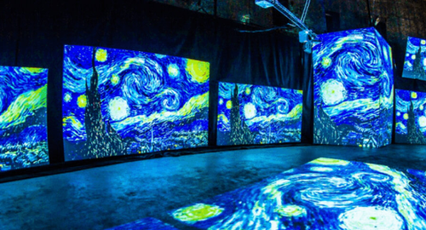 Мультимедийное оснащение выставки - Lumiere Hall